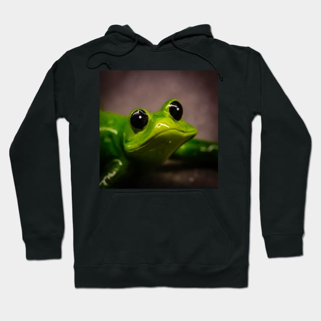 Cute Froggie Hoodie by thadz